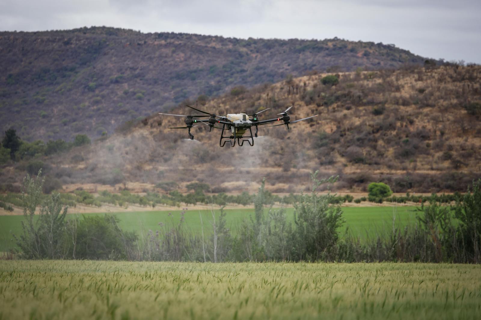 Drone realizando aplicação aeroagrícola sobre lavoura
